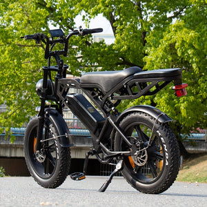 V20Pro 48V 500W Fatbike Electric Bicycle – High-Performance Off-Road Adventure Bike