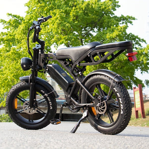 V20Pro 48V 500W Fatbike Electric Bicycle – High-Performance Off-Road Adventure Bike